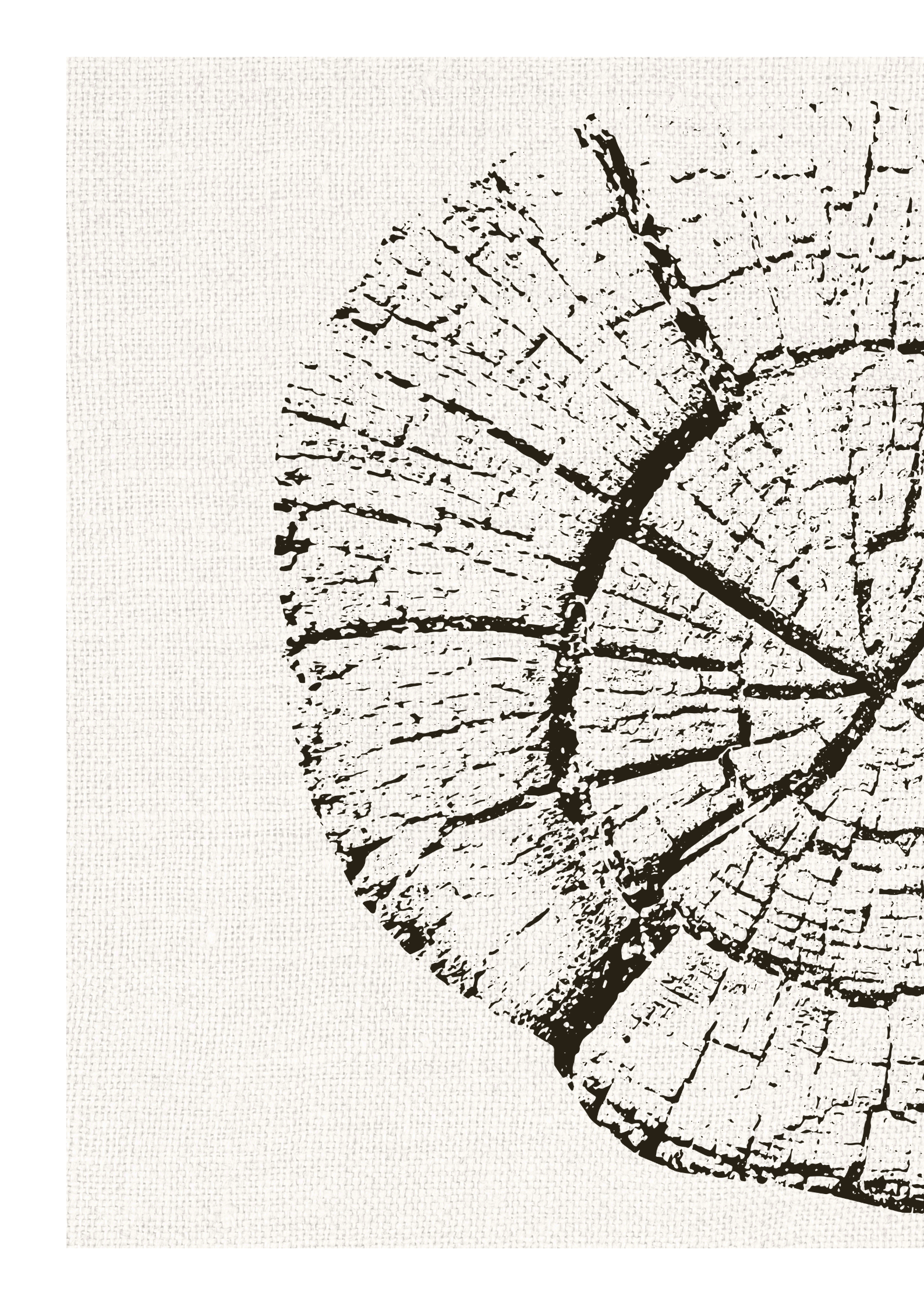 Tree-ring pair original Giggle Bright artwork